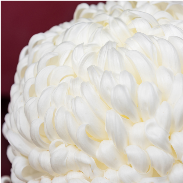 2.専用車でお迎えにあがります。