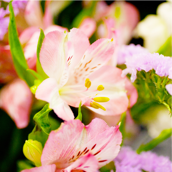 無宗教葬（自由葬）