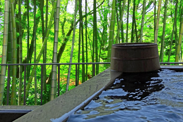 大人の休日はグルメと温泉で満喫〜地元の味と癒しを求めて〜