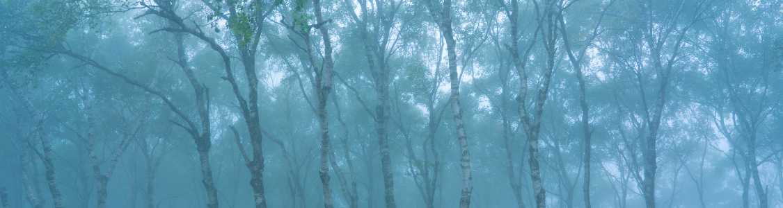 お通夜　サブメインイメージ