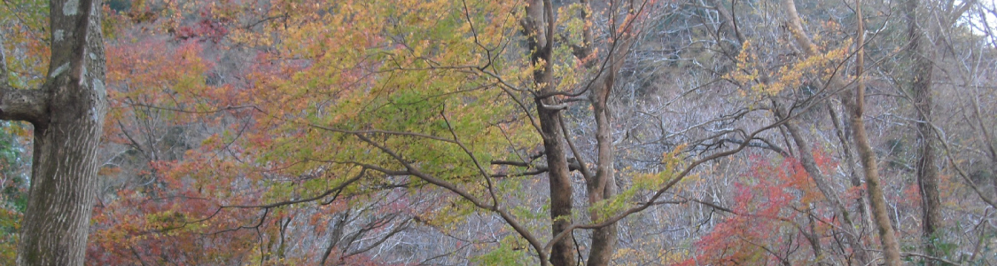 葬儀後のこと 法事・法要　サブメインイメージ